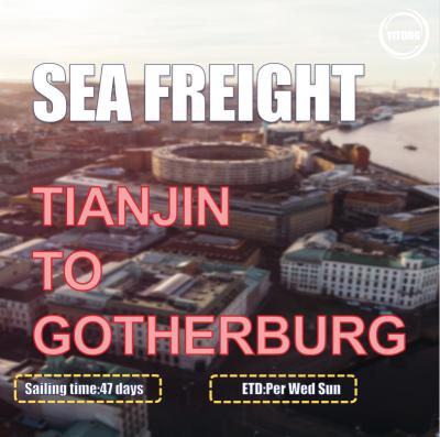 China 47 Days International Sea Freight China To Europe Gothenburg Sweden for sale