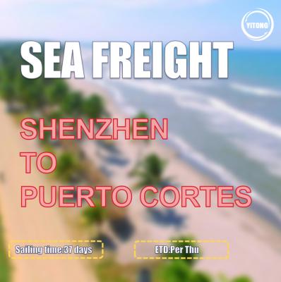 China 37 Days DDP DDU Sea Freight From Shenzhen To  Puerto Cortes Honduras for sale