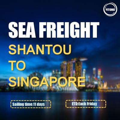 중국 Shantou To Singapore International Sea Transportation service Direct Sailing 판매용