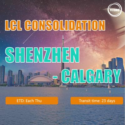 China Reliable China Freight LCL Consolidation Service / Shipping Container Price for sale