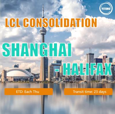 Cina Cina Affidabile FCL LCL Consolidation Shipping To Worldwide o Container Shipping Service in vendita