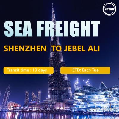 China Sea Freight From Shenzhen To Dubai International Logistcs DDU/DDP Services for sale