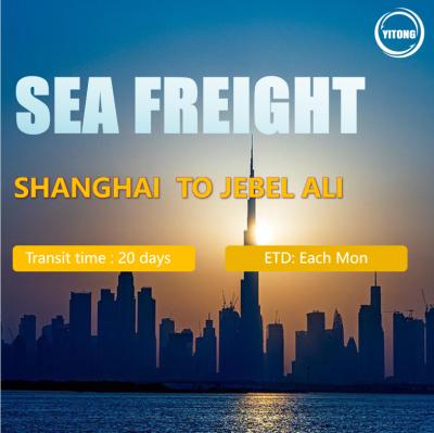 China Sea Freight Professional Cheap Container Shipping Agent Service China To Worldwide for sale