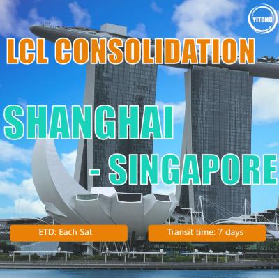 China LCL Shipping Agent Sea Freight From Shanghai To Singapore for sale