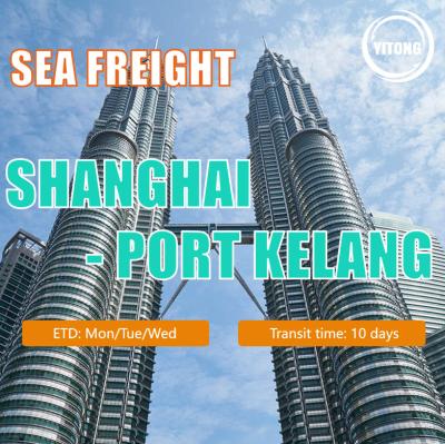 China Sea Freight From China to Southeast Asia Indonesia Malaysia Singapore Philippines Vietnam for sale