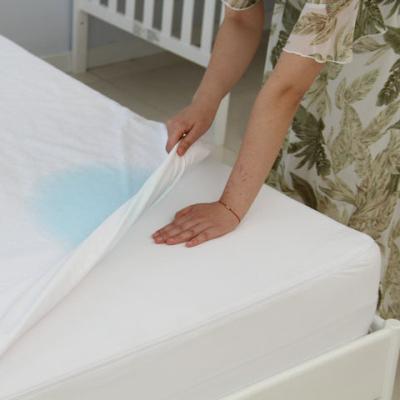 China Anti-Bacteria Waterproof Mattress Protector PU Hotel Bed Insect Protector for sale