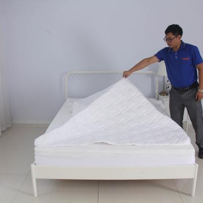 China New Design Quilted Removable Anti-bacteria Hotel Bed Replacement Encasement Mattress Cover Protector Whit Zipper for sale