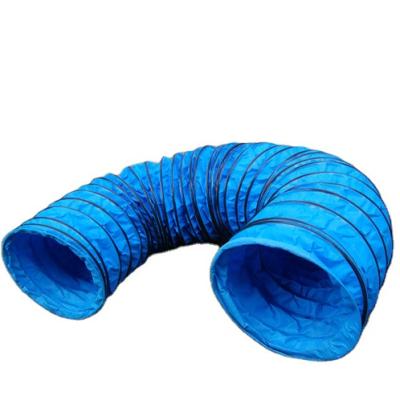 China New Viable Jumbo Huge Dog Agility Tunnel Kids Fitness Tunnel Puppy Trainer Jumping Jumping and Tunnel Dog Agility Training Set for sale