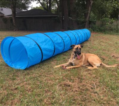 China Viable Dog Agility Training Tunnel 18 Ft Polyester Equipment Polyester Outdoor Puppy Tube Dog Agility Training Open Tunnel for sale