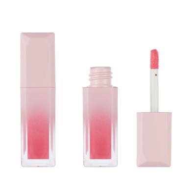 China Custom Private Label Makeup Lip Gloss Vegan Matte Liquid Shiny Liquid Lip Gloss Waterproof for sale