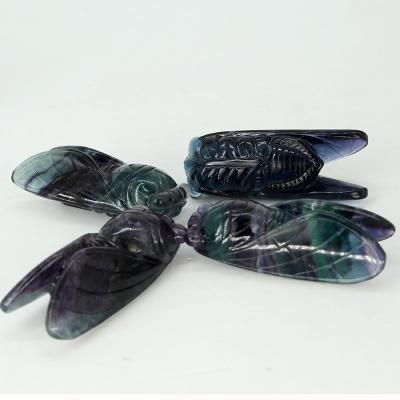 China China Wholesale High Quality Natural Cicada Fluorite Rainbow Crystal Crafts Colorful Cicada Animal Cutouts for sale