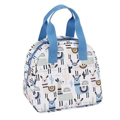 China Custom Picnic Tote Cooler Bag Pattern Lunch Waterproof Reusable Cooler Bags for sale