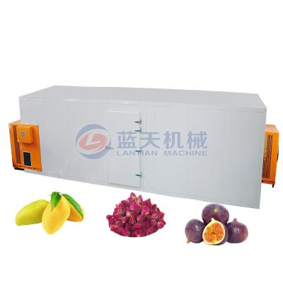 China Energy Saving Mango Fruit Heat Pump Food Dehydrator Food Dryer for sale