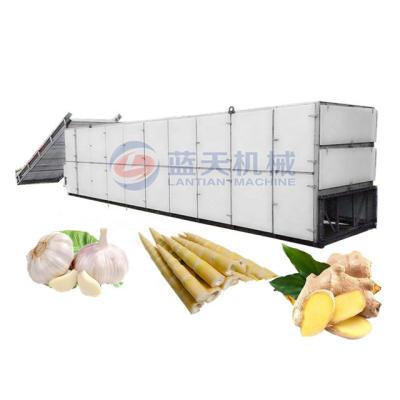 China Continuous working konjac ginger garlic drying machine with factory price for sale