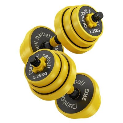 China Barbell 10KG20kg solid set adjustable weight home fitness equipment men and women iron dumbbell package unified weight for sale