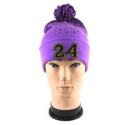 China COMMON big quantity discount european and american style purple wool knit hat for adult for sale