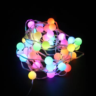 China Smart Light String RGB LED Decoration Smart String Lights Led Christmas Lighting for sale