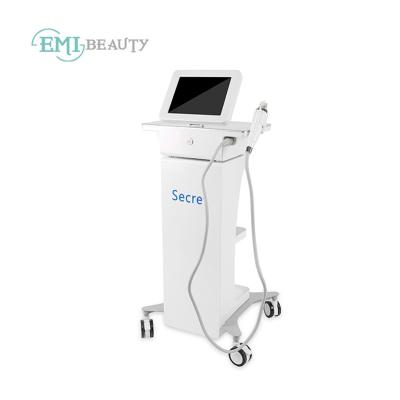 China Efficient Face Lift Latest Design Fractional Microneedle Machine RF Fractional Micro Needle for sale