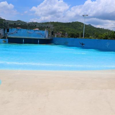 China Máquina de piscina de ondas ao ar livre de alta performance à venda