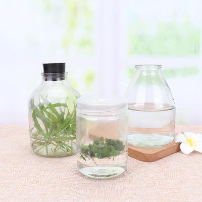 China Agriculture 240ml 350ml tissue culture aquatic plant glass jar with pp plastic lid wholesale for sale