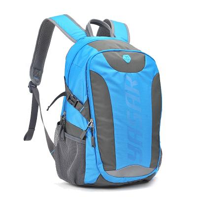 China Customized Logo Sports Computer Business Waterproof Travel Camping Laptops Hiking Bag Backpacks for sale