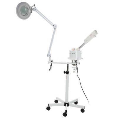 China For commercial & Domestic Use Factory Price 2 IN 1 Beauty Machine Facial Steamer Lamp Long Lasting Enlarging Skin Enlargement Lamp for sale