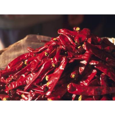 China High quality factory price selling 3-5cm stem red dried chillies for sale