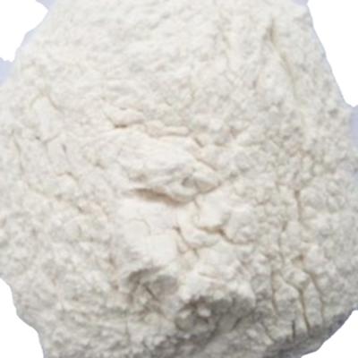 China New Cultivation Air Dried Vegetables Garlic Dry Hot Selling Dehydrated Powder for sale