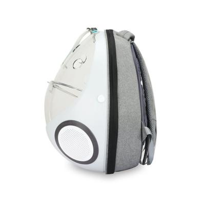 China Durable Convenient ABS Double Shoulder Space Capsule Cat Houses Pet Backpack Nylon Material Outdoor for sale