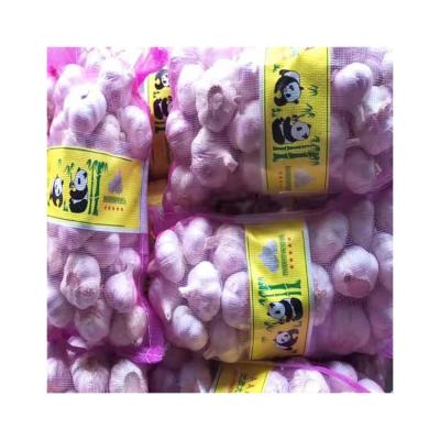 China Wholesale High Quality Fresh Garlic Market Price White Garlic for sale