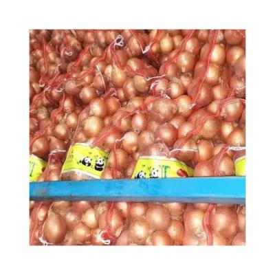 China Factory Fresh Original Wholesale Seeds Onion White Onion for sale