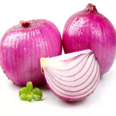 China Excellent Price Fresh Onion Exporters Fresh Onions For Sale for sale