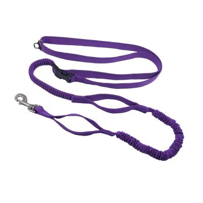 China Newest Taiwan Multifunctional Outdoor Pet Viable Training Dog Working Elastic Leash On Product for sale