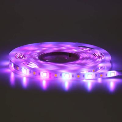 China Warehouse 12V 3M Remote control Smart  for holiday/party flexible led strips light 5050 Led RGBIC Light Strip for sale