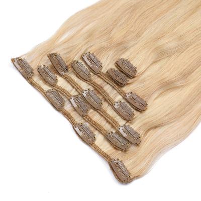 China Beautiful Hair Hot Sale Silky Straight Clips In Brazilian Virgin Hair Cuticle Aligned Silky Straight Hair for sale