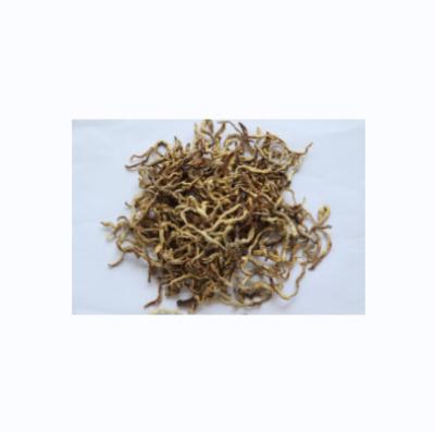 China Good Quality Pet Food High Nutrient Freeze Dried Earthworm Fish Food Pet Food for sale