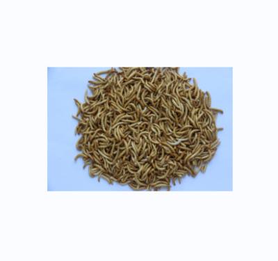 China Fish Food 2022 Best Price Haccp Certification Freeze Dried FD Mealworm Pet Food for sale