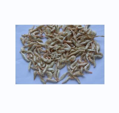 China New Shrimp Pet Food 2022 Freeze Dried Fish Food White Shrimp Pure Natural for sale