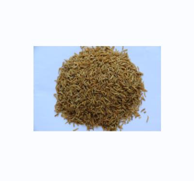 China 2022 Best Sales Pet Food Haccp Certification Microwave Dried Fly Larvae Bird Food for sale