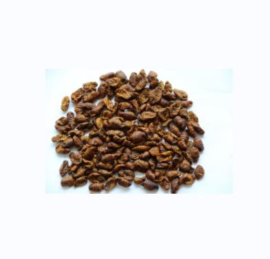 China New Sale Cheap Bird Food Silkworm Pet Food Microwave Dried Bird Food for sale