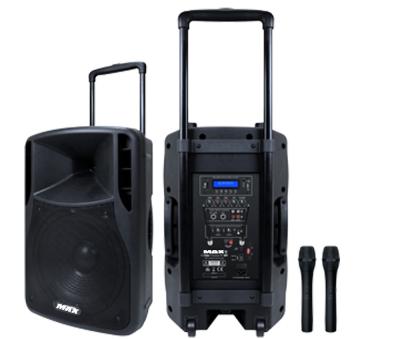 China Portable 12 Inch Professional Audio Speakers 38mm 2 way Loudspeaker Painted box for sale