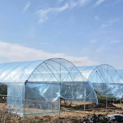 China 100% Quality Assurance Greenhouse Opaque Project Multi-Span Plastic Greenhouse Film for sale