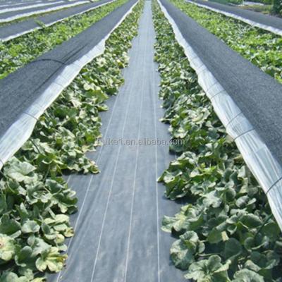 China Agricultural or garden used for weed mat and ground cover woven black weed mat rolls anti grass fabric garden farm ground cover for sale