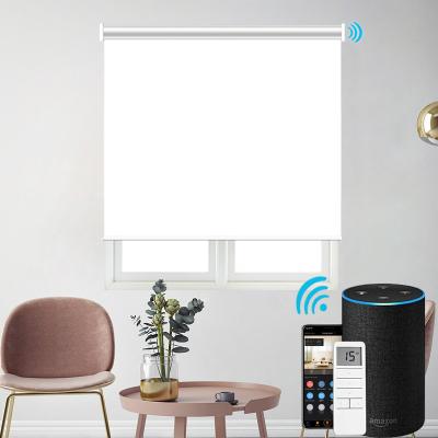 China Wireless Motorized Electric Blind Slat Wifi Roller Blind Curtain Window Shade Motor for sale