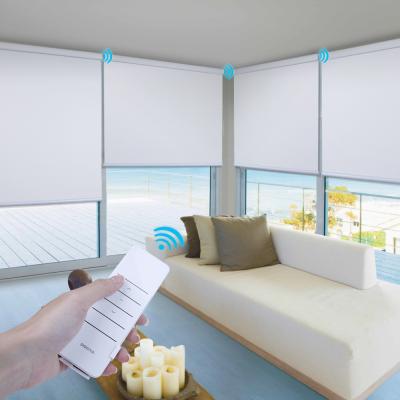 China UV Protection Motorized Roller Blinds Motor Smart Motor Control By WIFI App for sale