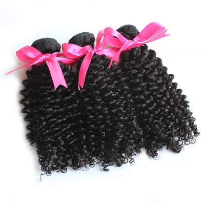 China Can Be Dyed 10A Mink Malaysian Virgin Hair, Mink Malaysian Hair Vendor Unprocessed Virgin Kinky Curly Weft Bundles for sale