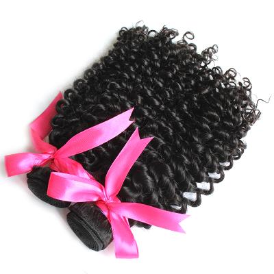 China Can Be Dyed Wholesale Raw Virgin Cuticle Aligned Hair, Hair Weave Bundle, Remy Hair Extension Kinky Curl Bundles for sale