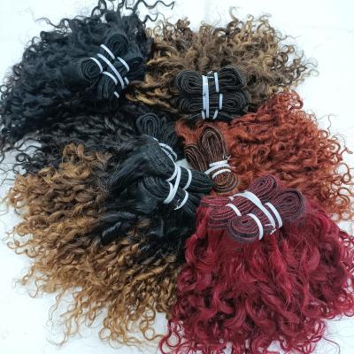 China Letsfly New Style 9A Hair Extension 10inch Natural Hair Grade 100% Free Shipping Indian Curly Loose Curly Hair Weave 100% Free Shipping for sale