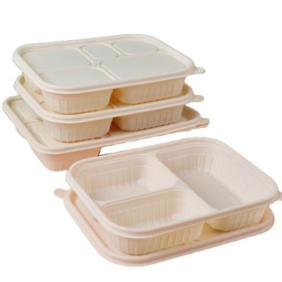 China Biodegradable Disposable Disposable Container Take Away Food Lunch Box for sale