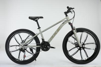 China Mountain Bike 26 Inch Suspension Mtb for Adults racing bike full suspension mountain bike mtb bicicleta for sale